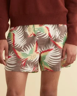 Men BODE Sun Conure Boxers
